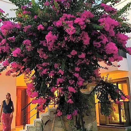 호텔 Derin Bodrum 2*